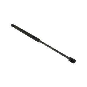 HOOD PISTON