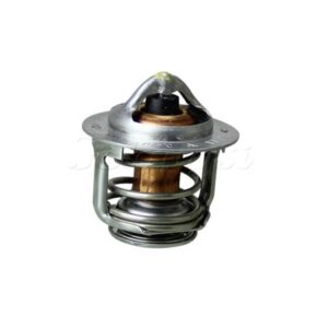 THERMOSTAT AND PACKING