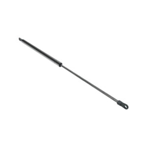 HOOD PISTON