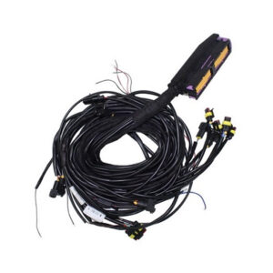 HARNESS FOR ADVANCE ECU (control unit), 8 CYLINDERS