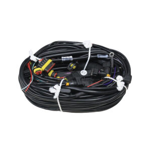 ARNES PARA ECU (CENTRALITA) BASIC/PROMAX, 8 CILINDROS