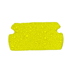 SPONGE