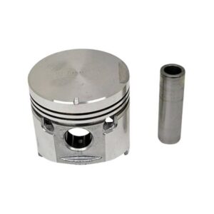 PISTON AND PIN (.75MM)