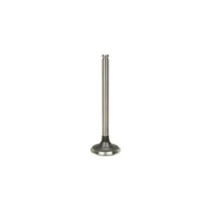 EXHAUST VALVE