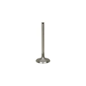 INTAKE VALVE