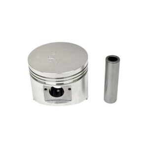 PISTON & PIN SET (1.00MM)