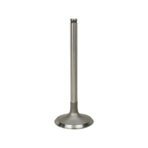 INTAKE VALVE