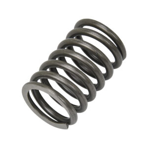 VALVE SPRING