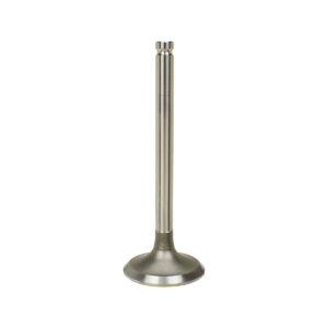 EXHAUST VALVE