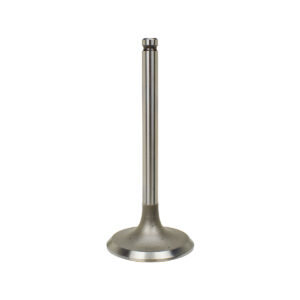 INTAKE VALVE