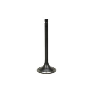 INTAKE VALVE