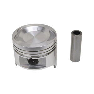 PISTON AND PIN (.75MM)