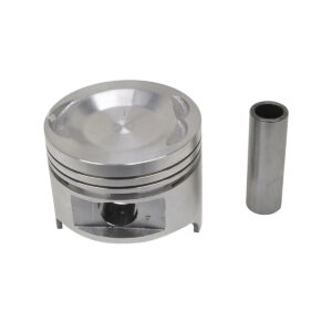 PISTON AND PIN (1.00 MM)