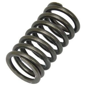 VALVE SPRING (INTERNAL)