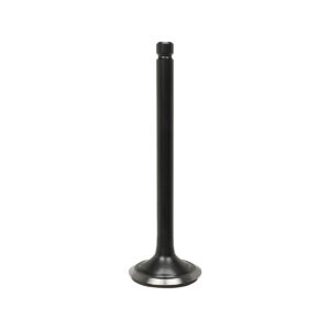 EXHAUST VALVE