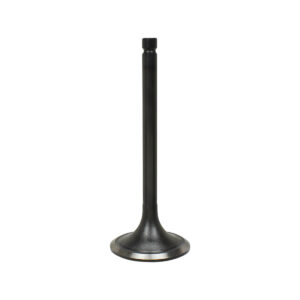 INTAKE VALVE