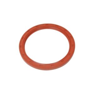 OIL SEAL (REAR)