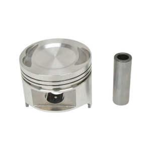 PISTON AND PIN (.50MM)