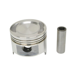 PISTON AND PIN (STANDARD)