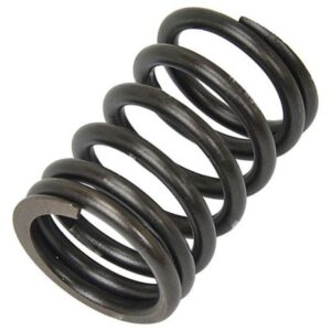 VALVE SPRING (OUTSIDE)