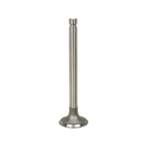 EXHAUST VALVE