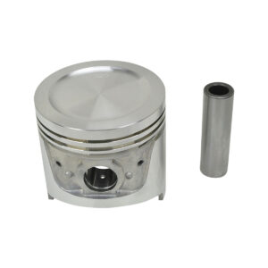 PISTON AND PIN (.50MM)
