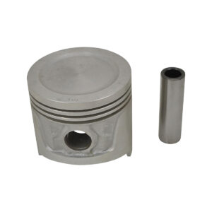 PISTON AND PIN (1.00 MM)