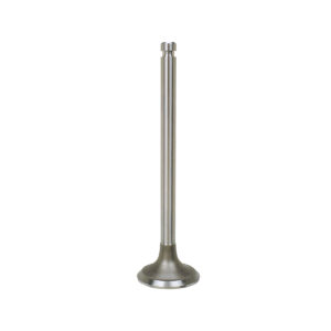 EXHAUST VALVE