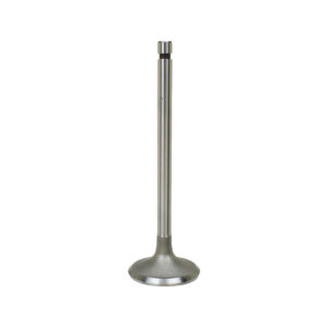 INTAKE VALVE