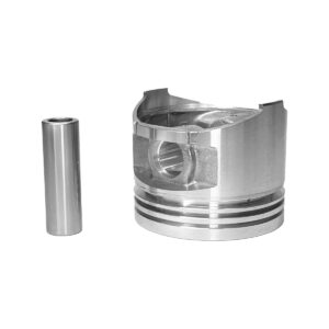 PISTON AND PIN (1.00 MM)