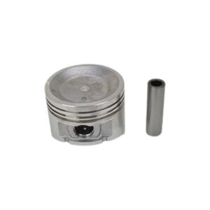 PISTON AND PIN (.75MM)