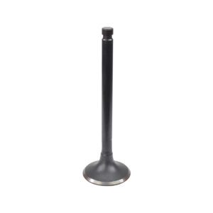 EXHAUST VALVE