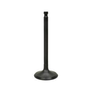 INTAKE VALVE