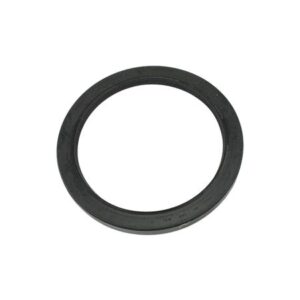 OIL SEAL (REAR)
