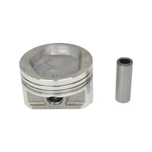 PISTON AND PIN (.50MM)