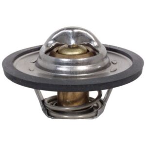 THERMOSTAT AND PACKING