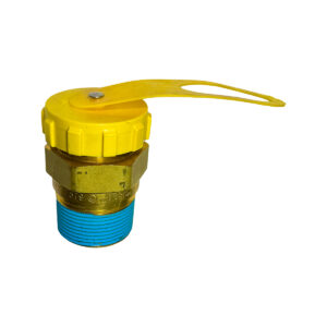 1 1/4 SAFETY VALVE 8685